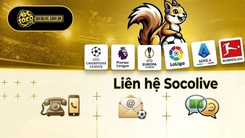 Các hình thức liên hệ Socolive trực tiếp và chính xác nhất