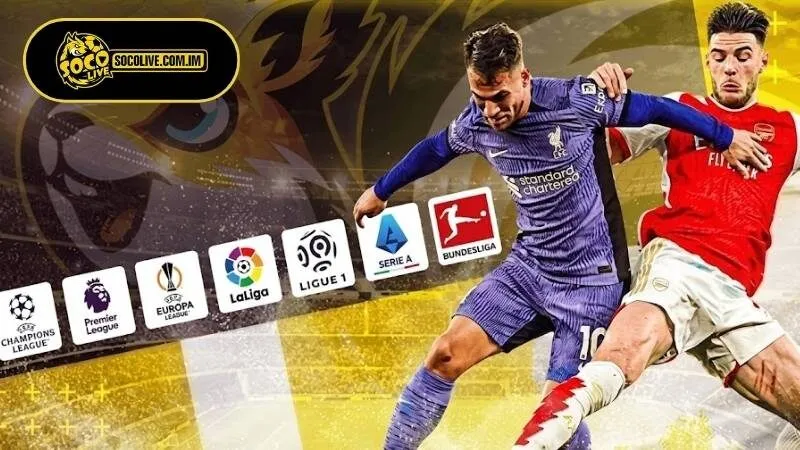 Cam kết của Socolive đối với fan hâm mộ túc cầu