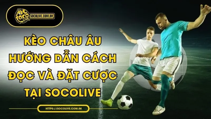 Kèo Châu Âu - Hướng Dẫn Cách Đọc Và Đặt Cược Tại Socolive