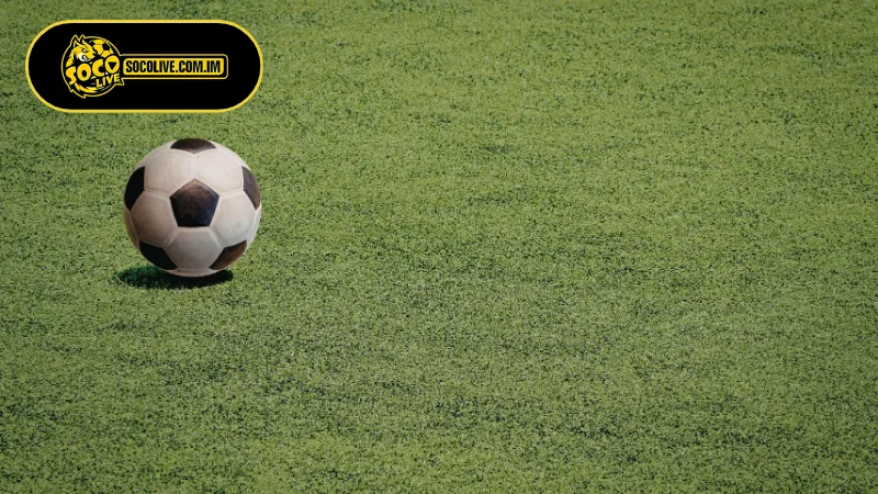 Kinh nghiệm cược kèo Tài Xỉu hiệu quả