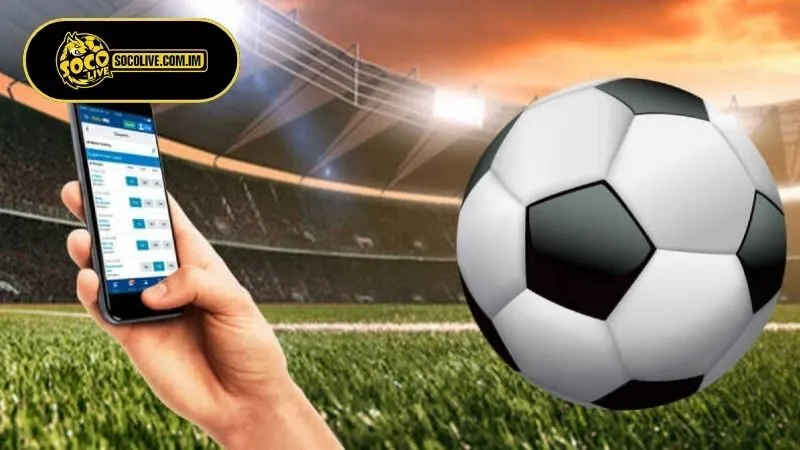 Lưu ý khi cập nhật lịch bóng đá để không bỏ lỡ