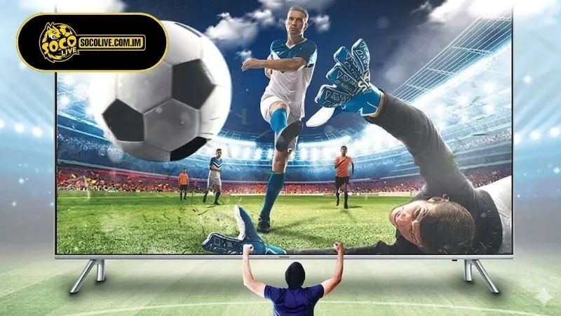 Những thông tin nổi bật tại trang kết quả bóng đá Socolive