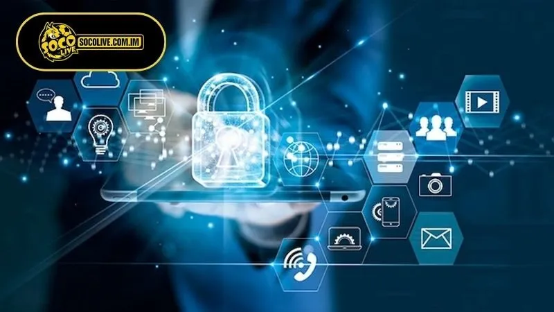 Quyền và nghĩa vụ của người dùng khi chấp nhận chính sách bảo mật