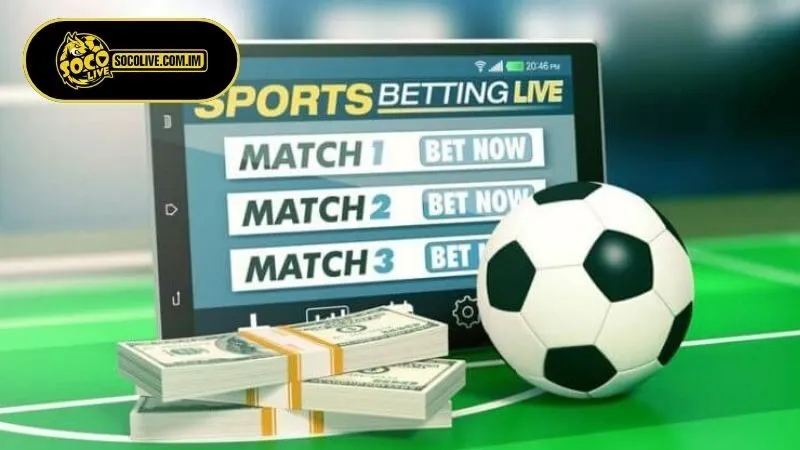 Tìm hiểu vai trò của lịch thi đấu trong bóng đá